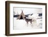 Husky Dogs, Central Finland-Andrew Bayda-Framed Photographic Print