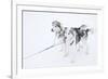 Husky Dogs, Longyearbyen, Spitsbergen, Svalbard, Arctic Circle, Norway, Scandinavia-Stephen Studd-Framed Photographic Print