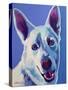 Husky - Joaquin-Dawgart-Stretched Canvas