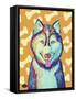 Husky Pop-Natasha Wescoat-Framed Stretched Canvas