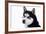 Husky Portrait-melis-Framed Photographic Print