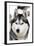 Husky Portrait-melis-Framed Photographic Print