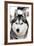 Husky Portrait-melis-Framed Photographic Print