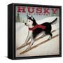 Husky Ski Co-Ryan Fowler-Framed Stretched Canvas