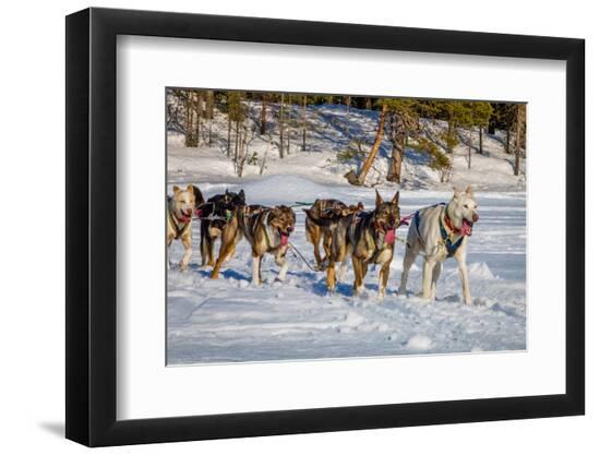 Photographic Print, , large