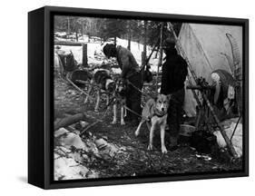 Husky Sleigh-null-Framed Stretched Canvas