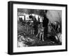 Husky Sleigh-null-Framed Photographic Print