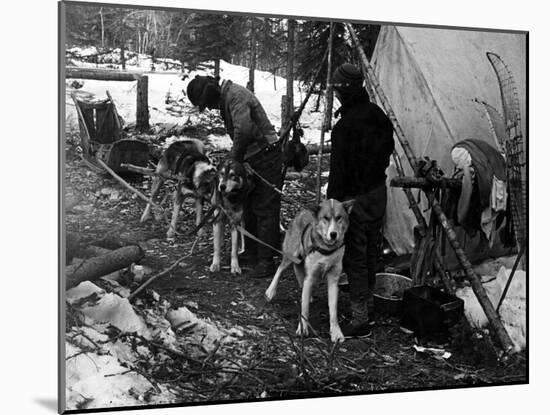 Husky Sleigh-null-Mounted Photographic Print