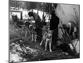 Husky Sleigh-null-Mounted Photographic Print