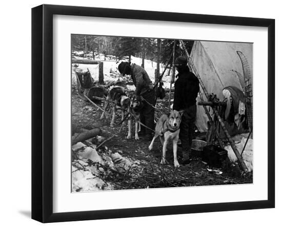 Premium Photographic Print, , large