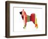 Husky-NaxArt-Framed Art Print