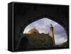 Hussein's Mosque, Karbala (Kerbela), Iraq, Middle East-Nico Tondini-Framed Stretched Canvas