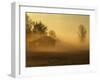 Hut and Mist at Sunrise with Ground Fog-null-Framed Photographic Print