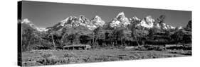 Hut at Ranch, Grand Teton National Park, USA-null-Stretched Canvas