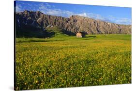 Hut at Seiser Alm in Schlern-Rosengarten Nature Park, Dolomites, Trentino-South Tyrol, Italy-null-Stretched Canvas