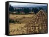 Hut Construction Above the Flatlands, Omo River Region, Ethiopia-Janis Miglavs-Framed Stretched Canvas