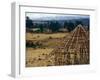 Hut Construction Above the Flatlands, Omo River Region, Ethiopia-Janis Miglavs-Framed Photographic Print