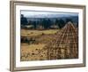 Hut Construction Above the Flatlands, Omo River Region, Ethiopia-Janis Miglavs-Framed Photographic Print