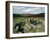 Hut Foundations, Grimspound Enclosure, Dartmoor, Devon, England, United Kingdom-Adam Woolfitt-Framed Photographic Print