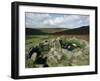 Hut Foundations, Grimspound Enclosure, Dartmoor, Devon, England, United Kingdom-Adam Woolfitt-Framed Photographic Print