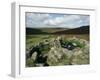 Hut Foundations, Grimspound Enclosure, Dartmoor, Devon, England, United Kingdom-Adam Woolfitt-Framed Photographic Print