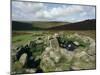 Hut Foundations, Grimspound Enclosure, Dartmoor, Devon, England, United Kingdom-Adam Woolfitt-Mounted Photographic Print