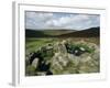 Hut Foundations, Grimspound Enclosure, Dartmoor, Devon, England, United Kingdom-Adam Woolfitt-Framed Photographic Print