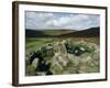 Hut Foundations, Grimspound Enclosure, Dartmoor, Devon, England, United Kingdom-Adam Woolfitt-Framed Photographic Print