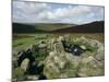 Hut Foundations, Grimspound Enclosure, Dartmoor, Devon, England, United Kingdom-Adam Woolfitt-Mounted Photographic Print