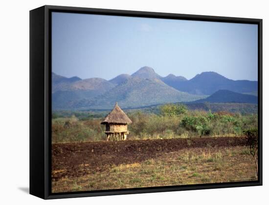 Hut in Field Near Konso Village, Omo River Region, Ethiopia-Janis Miglavs-Framed Stretched Canvas