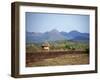 Hut in Field Near Konso Village, Omo River Region, Ethiopia-Janis Miglavs-Framed Photographic Print