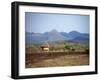 Hut in Field Near Konso Village, Omo River Region, Ethiopia-Janis Miglavs-Framed Photographic Print