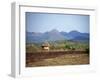 Hut in Field Near Konso Village, Omo River Region, Ethiopia-Janis Miglavs-Framed Photographic Print