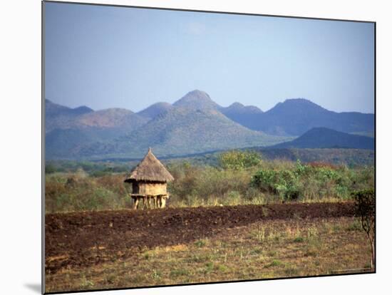 Hut in Field Near Konso Village, Omo River Region, Ethiopia-Janis Miglavs-Mounted Photographic Print