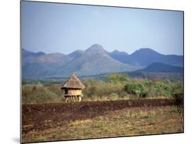 Hut in Field Near Konso Village, Omo River Region, Ethiopia-Janis Miglavs-Mounted Photographic Print