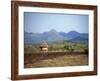 Hut in Field Near Konso Village, Omo River Region, Ethiopia-Janis Miglavs-Framed Photographic Print