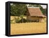 Hut in the Tambon Nong Hin Valley, Thailand-Gavriel Jecan-Framed Stretched Canvas