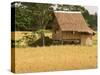 Hut in the Tambon Nong Hin Valley, Thailand-Gavriel Jecan-Stretched Canvas