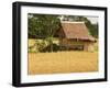 Hut in the Tambon Nong Hin Valley, Thailand-Gavriel Jecan-Framed Photographic Print