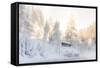 Hut near Water and Misty Forest in Winter-Risto0-Framed Stretched Canvas