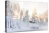 Hut near Water and Misty Forest in Winter-Risto0-Stretched Canvas