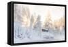 Hut near Water and Misty Forest in Winter-Risto0-Framed Stretched Canvas