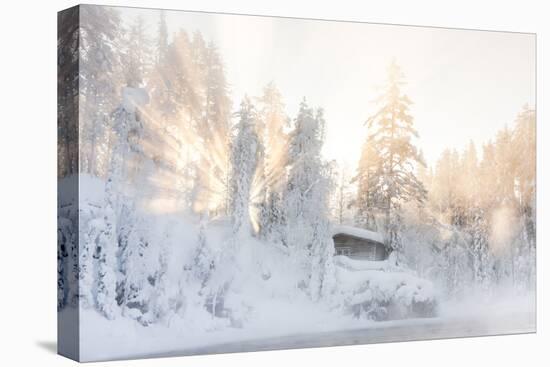 Hut near Water and Misty Forest in Winter-Risto0-Stretched Canvas