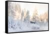 Hut near Water and Misty Forest in Winter-Risto0-Framed Stretched Canvas