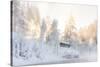 Hut near Water and Misty Forest in Winter-Risto0-Stretched Canvas