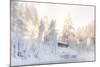 Hut near Water and Misty Forest in Winter-Risto0-Mounted Photographic Print