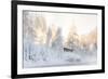 Hut near Water and Misty Forest in Winter-Risto0-Framed Photographic Print