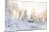 Hut near Water and Misty Forest in Winter-Risto0-Mounted Photographic Print