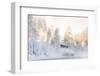 Hut near Water and Misty Forest in Winter-Risto0-Framed Photographic Print