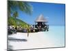 Hut on the Beach-null-Mounted Photographic Print